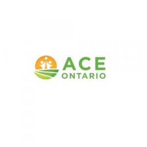 Press release image for ACE Ontario Backs Minister Calandra’s Call for Federal Action on Childcare Funding