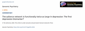 Press release image for Enlarged salience network could be first reliable biomarker for depression risk