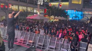 Press release image for DESIFEST 2025: A Resounding Success Paving the Way for a Landmark 20th Anniversary