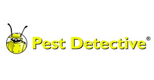 Press release image for Pest Control Coquitlam: Surge in Carpenter Ant Activity Alarms Homeowners