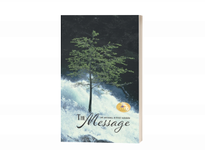 Press release image for Dr. Michael Ritivoi Hansen’s ‘The Message’ Delivers A Powerful Testament On Life Under Communism