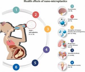 Press release image for Nano- and Micro-plastics in Our Bodies: A Comprehensive Review of Risks and Research Opportunities