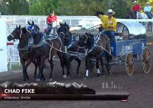 Press release image for Horse euthanized due to serious injury in Calgary Stampede chuckwagon races