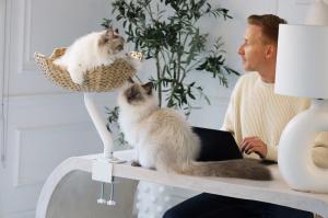 Press release image for ERGO PURRCH™ Desk-Mounted Cat Bed Sets a New Standard for the Modern Workspace