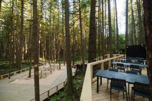 Press release image for Squamish Canyon Now Open to Welcome Guests into the Heart of the Rainforest
