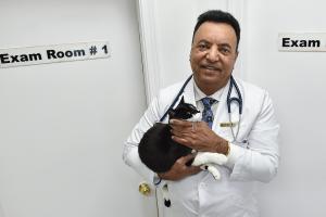 Press release image for Coming This Fall: ‘Underdog’ – A Landmark Story of Resilience, Racism, and Justice in Veterinary Medicine