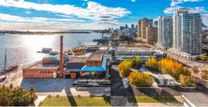 Press release image for Harbourfront Centre welcomes new leaders to its Board of Directors