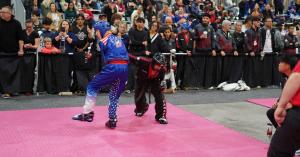 Press release image for Team Canada Martial Artist Eli Cooper Earns Silver and Bronze at 2025 World Championships in Niagara Falls, New York.