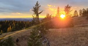 Press release image for Community Group Highlights Outstanding Approvals for Record Ridge Mine