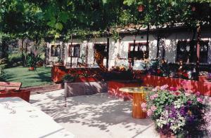 Press release image for Dirty Laundry Winery Celebrates 20 Years of Bold Wines, Big Personality, and Okanagan Spirit