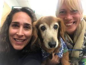 Press release image for United in Compassion: Midtown Mobile Veterinary Hospice Services Joins Lap of Love