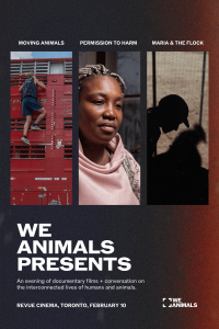 Press release image for We Animals Presents an Evening of Documentary Films and Conversation on the Interconnected Lives of Humans and Animals