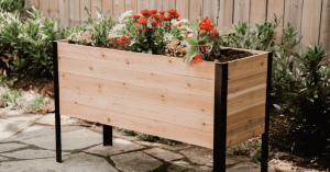 Press release image for Comparing Raised Garden Beds: Cedar, Metal, and Plastic Options for Spring Gardening