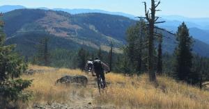 Press release image for BC Supreme Court Grants Injunction in Record Ridge Case; Judicial Review to Be Heard in Rossland